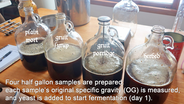 Brew Beer Like a Yeti: Traditional Techniques and Recipes for  Unconventional Ales, Gruits, and Other Ferments Using Minimal Hops